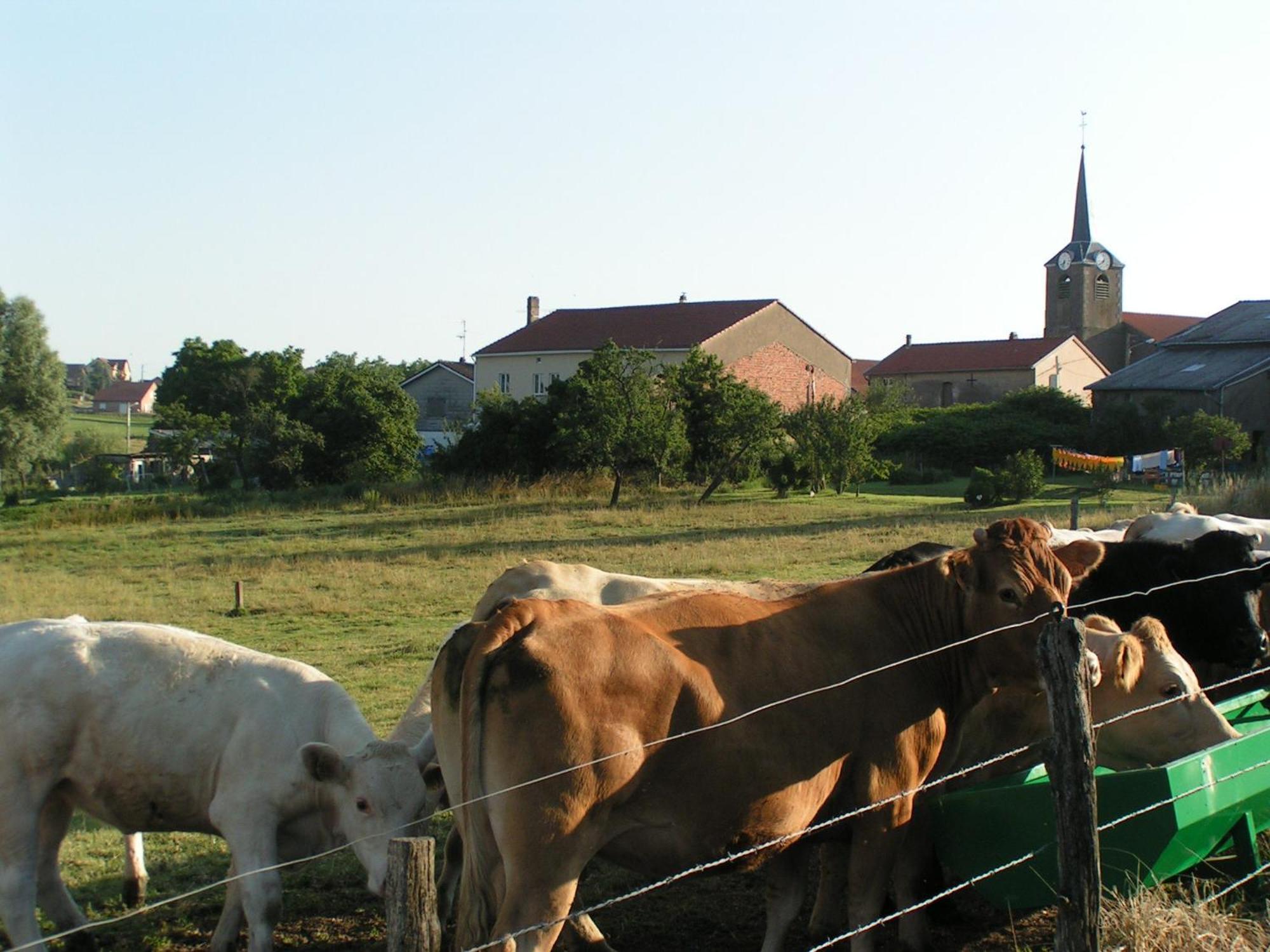 Chambres D'Hotes Au Presbytere Racrange Luaran gambar